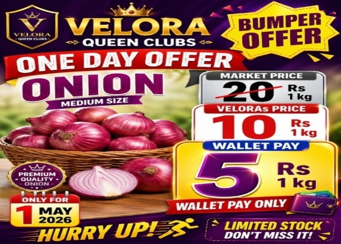 Onion 